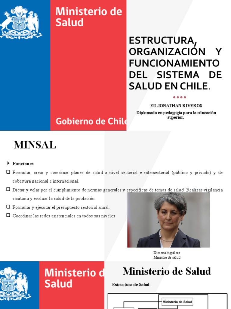 Estructura y Funcionamiento del Sistema de Salud en Chile | PDF ...