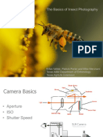 Basic Insect Photography Shorter 1