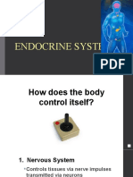 1 - Endocrine System Intro