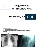 EXAMEN PRACTICO I - 2009 (Metodos Diagnosticos)
