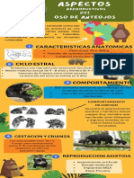 Infografia Fisiologia Reproductiva en Hienas