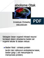 Metabolisme Otak