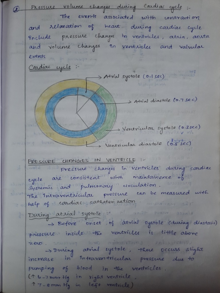 Cardiac Cycle | PDF | Ventricle (Heart) | Diastole