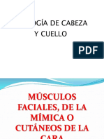 21) Miología de Cabeza y Cuello