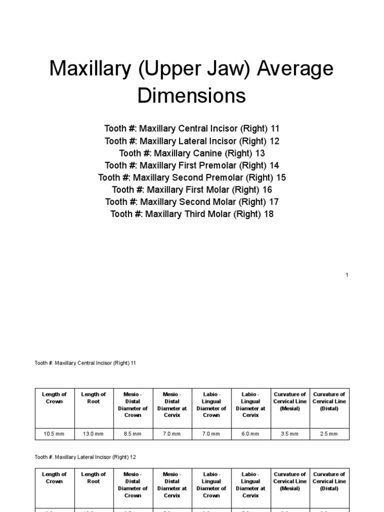 Maxillary Tooth Dimensions Overview | PDF