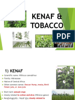AGR662 Topic 12 & 13-Tobacco and Kenaf