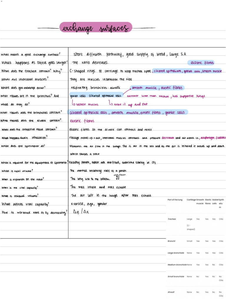 SPECIFICATION DEFINITION IN SCIENCE visual data 5