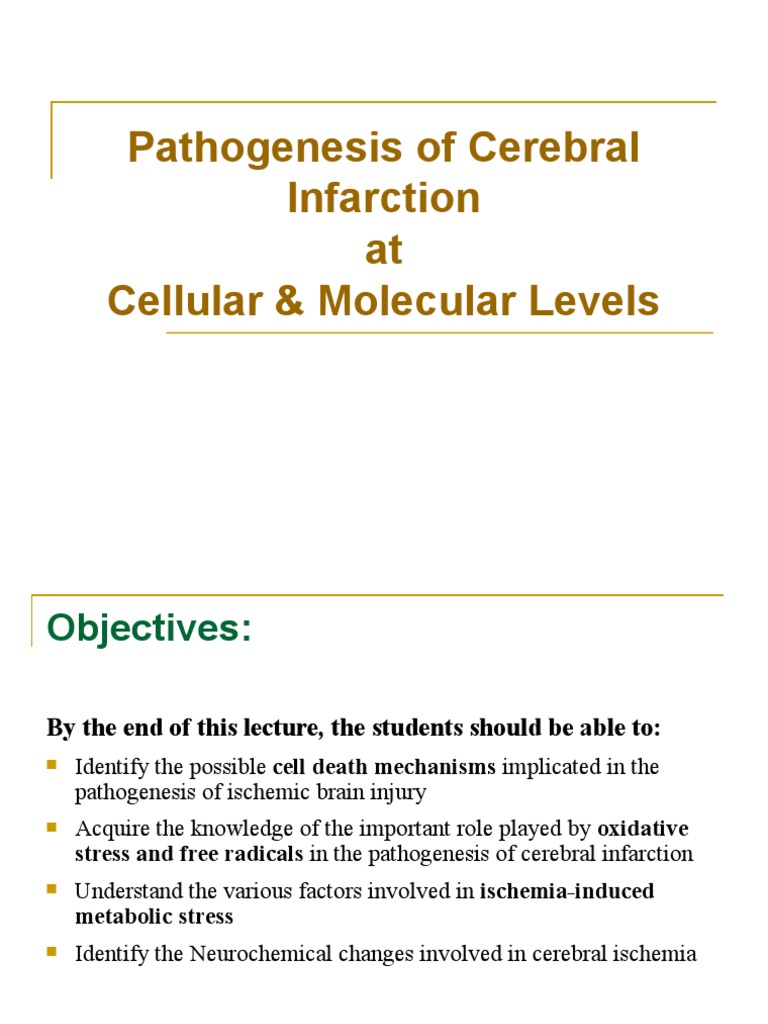 Cerebral Infarction Pathogenesis Explained | PDF | Self-Improvement ...