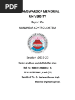 Nonlinear Control System Report