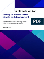 IHLEG Finance For Climate Action 1