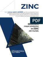 Snmpe Diptico El Zinc 2019