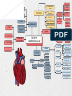 Sistema Cardiovascular