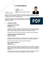 CV Glenn Flores Mendoza