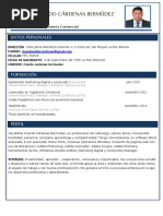 Hoja de Vida Walter Ricardo Cárdenas