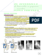 9a. Patologias Del Desarollo en Pequeños Animales