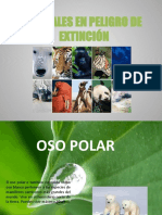 Presentacion Animales en Peligro de Extincion