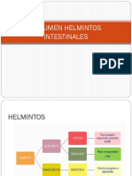 Resumen Helmintos Intestinales