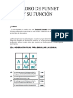 Cuadro de Punnett PDF