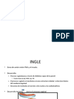 Anatomia Del Conducto Inguinal