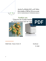 Rapport PCR Phytopathologie