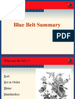 Blue Belt Summary