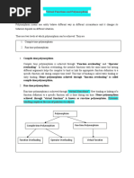 Virtual Function and Polymorphism