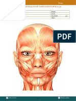 Plano de Aplicação de Toxina Botulínica - Modelo 3