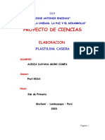 Plastilina-Informe Alexia