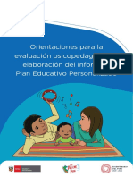 Orientaciones para La Evaluacion y Elaboracion Del Informe