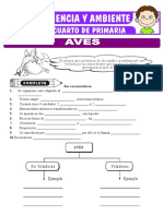 Aves para Cuarto de Primaria