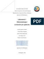 Informe - Lab - 1 - Hidrometalurgia. Equipo Ricardo Varas
