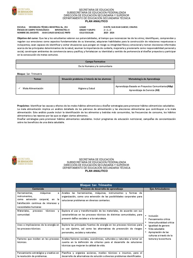 Plan Analitico 2do. Grado | PDF