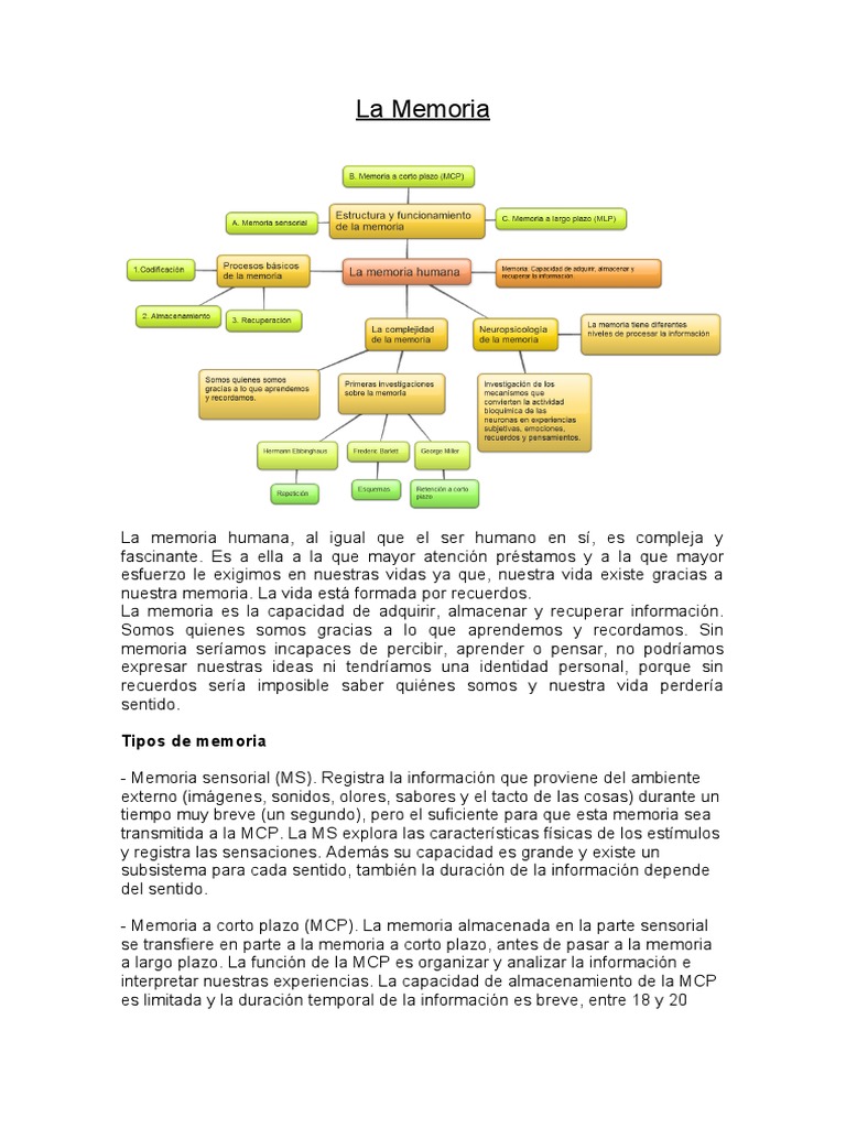 La Memoria Y Sus Patologías Pdf Memoria Amnesia