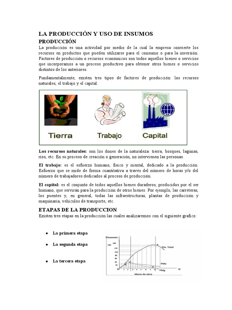 Producción y Uso de Insumos en Empresas | PDF