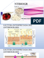 Exposicion - Antibiograma