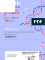 Acido Nucleico y Celulas Eucarionte y Procarionte