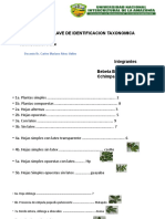 Clave Taxonomica