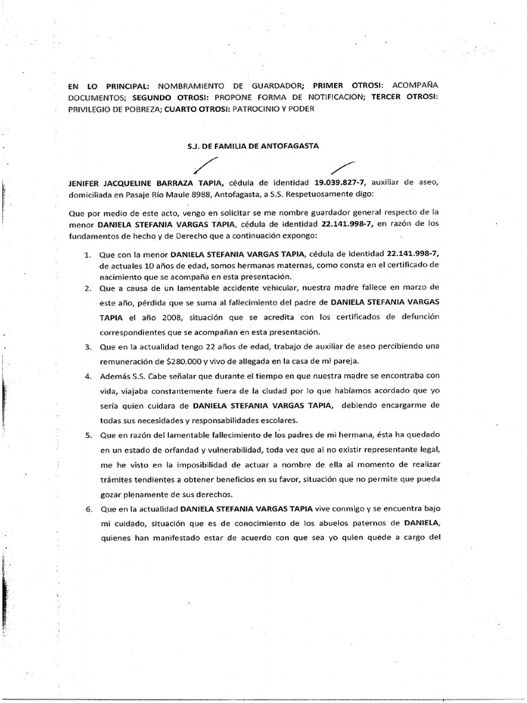 Nombramiento curador pdf