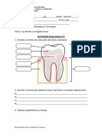 Evaluación Los Dientes y Sus Cuidados.