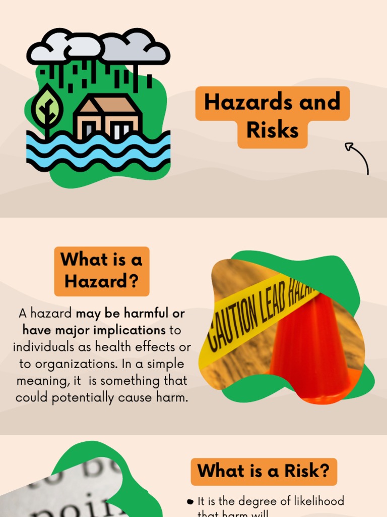 Hazards and Risks | PDF
