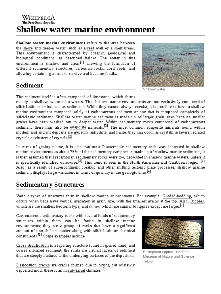 Shallow Water Marine Environment | PDF