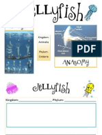 Jellyfish Note Booking