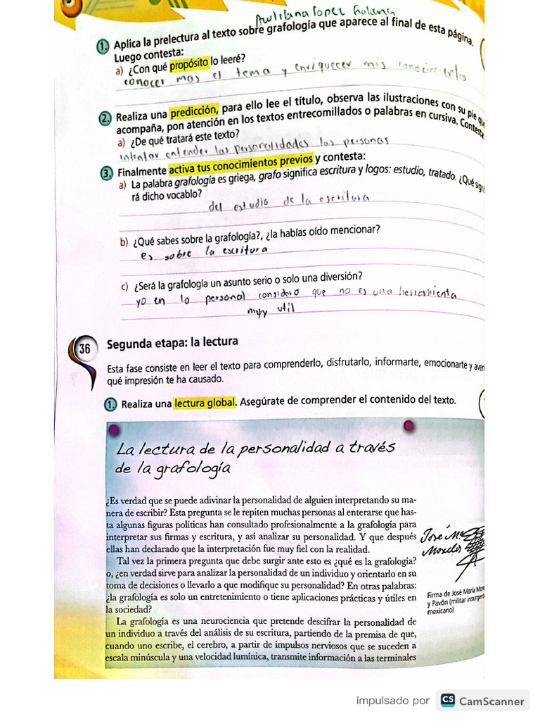 Lección 4 | PDF