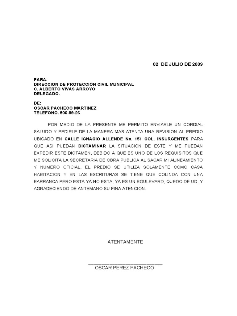 Carta Solicitud Dictamen | PDF