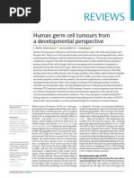 2019.-Human Germ Cell Tumours From A Developmental Perspective