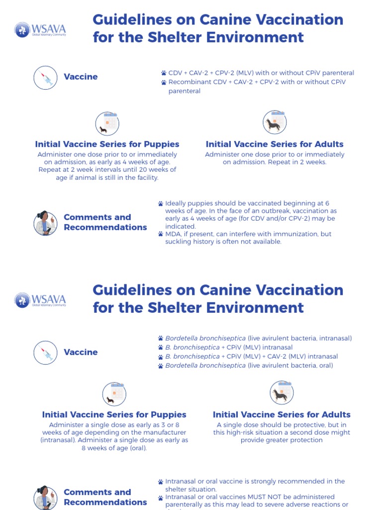 WSAVA Guidelines On Canine Vaccination For The Shelter Environment ...