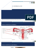 ANV Anatomi Organ Ginekologi