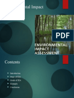 Environmental Imapact Assessment