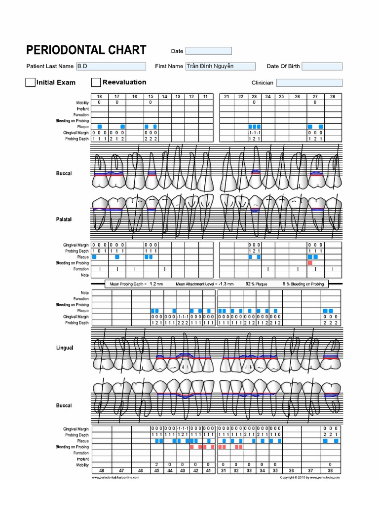 Periodontal Chart Online | PDF