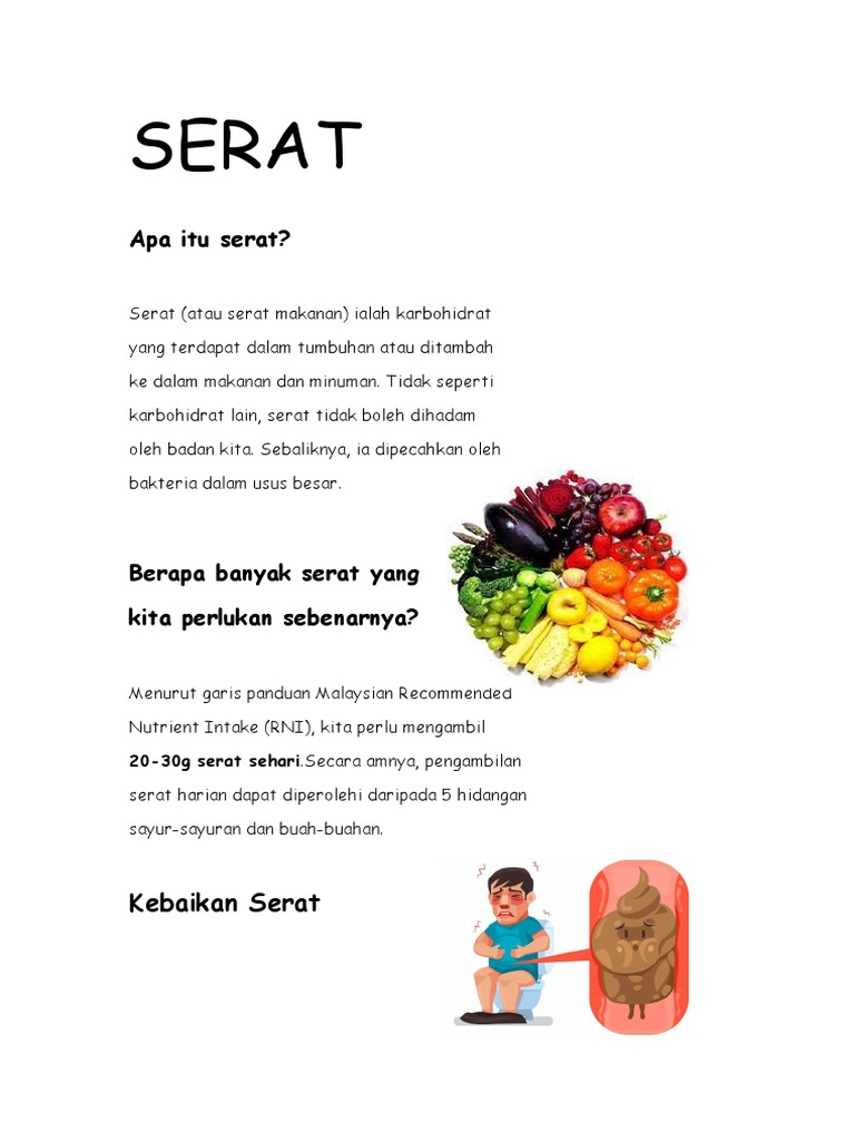Panduan Serat untuk Diet Sehat | PDF